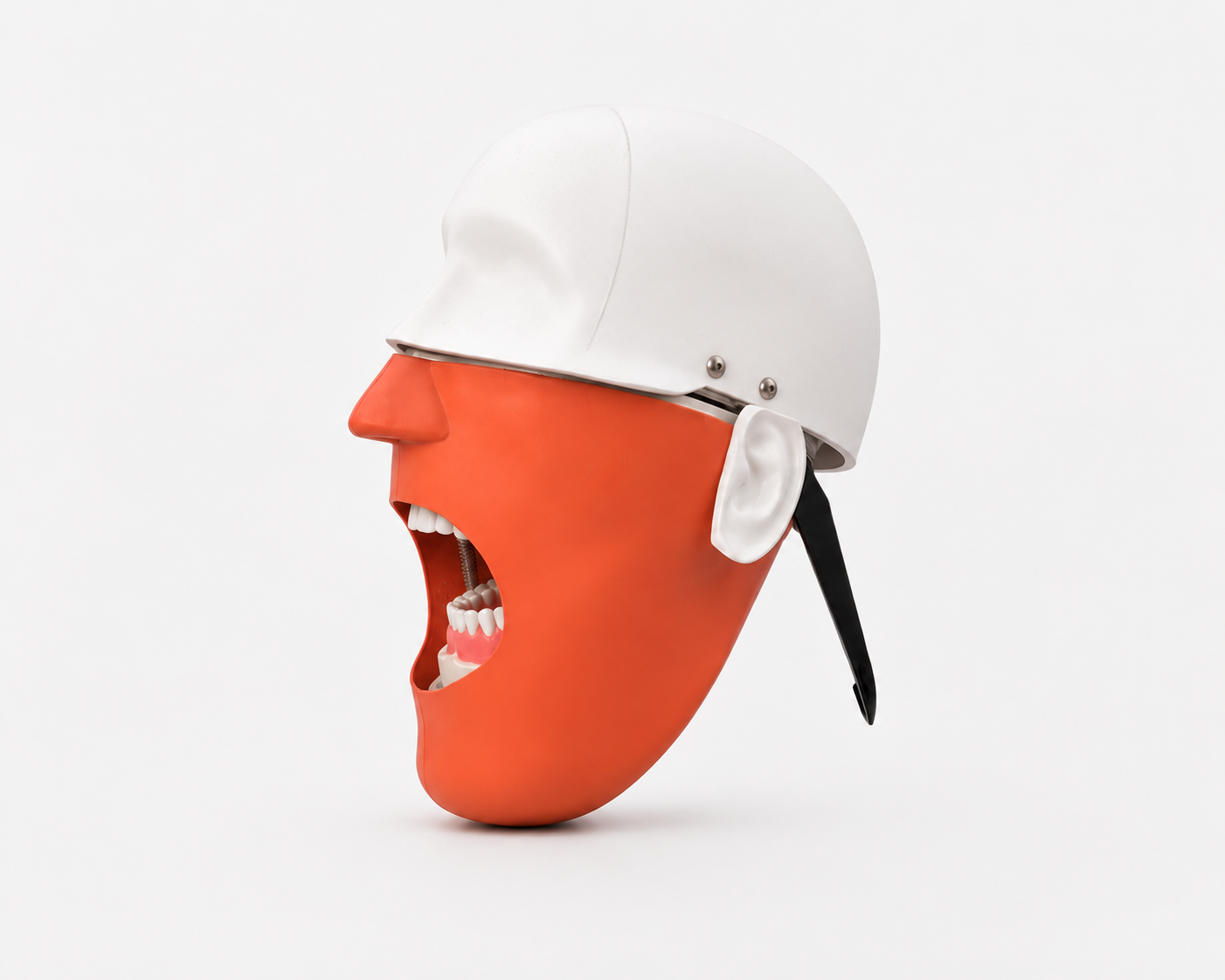 BANNA Dental Phantom Head Simulator
