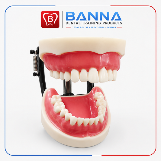 BANNA Soft Ginga Screw type