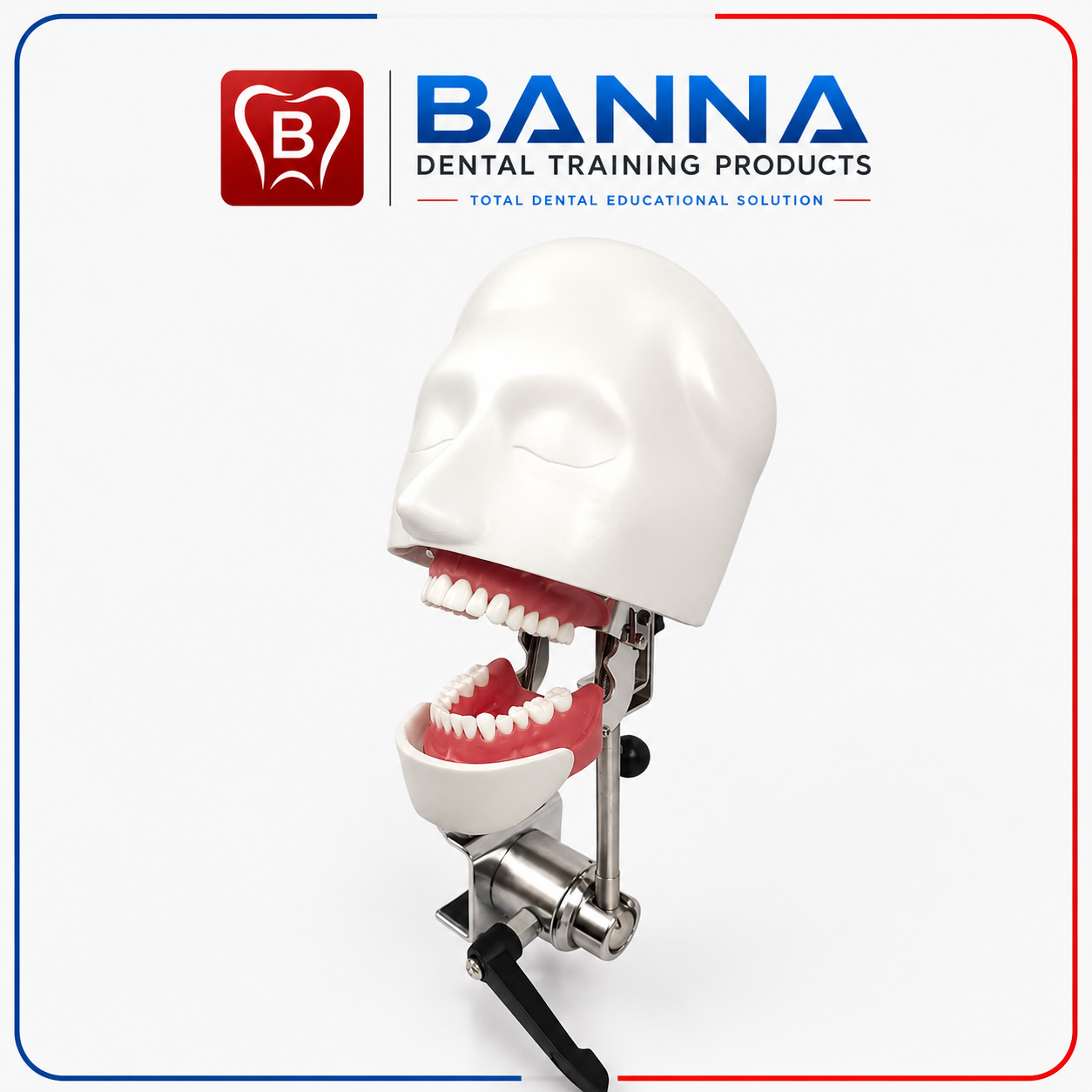 BANNA Simple Dental Phantom Head Simulator