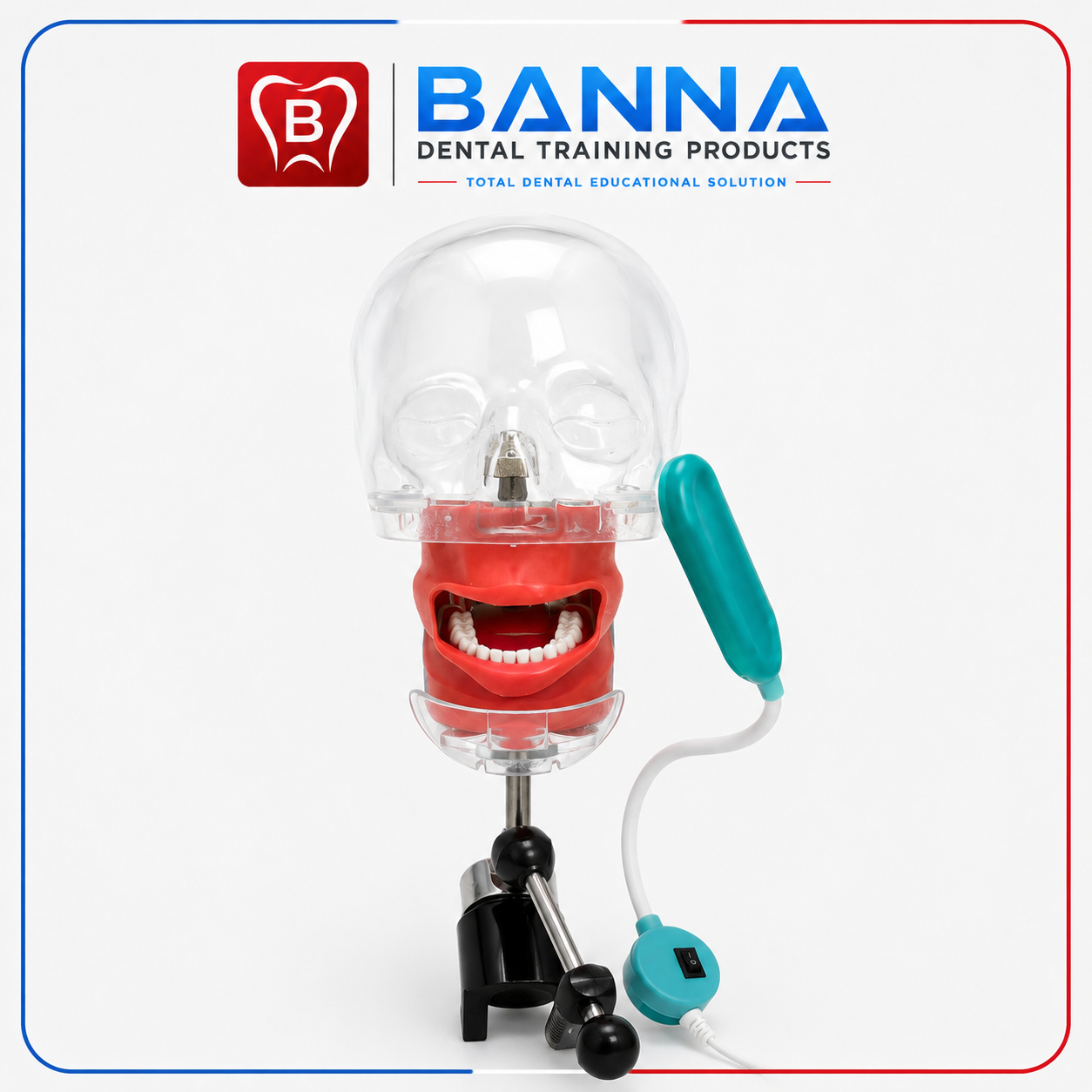 BANNA Simple Dental Phantom Head Simulator