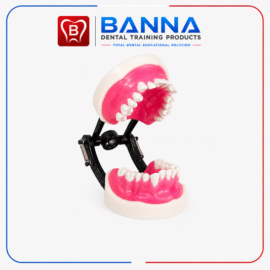 BANNA Ortho Model