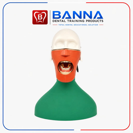 BANNA Dental Phantom Head Simulator Body Type
