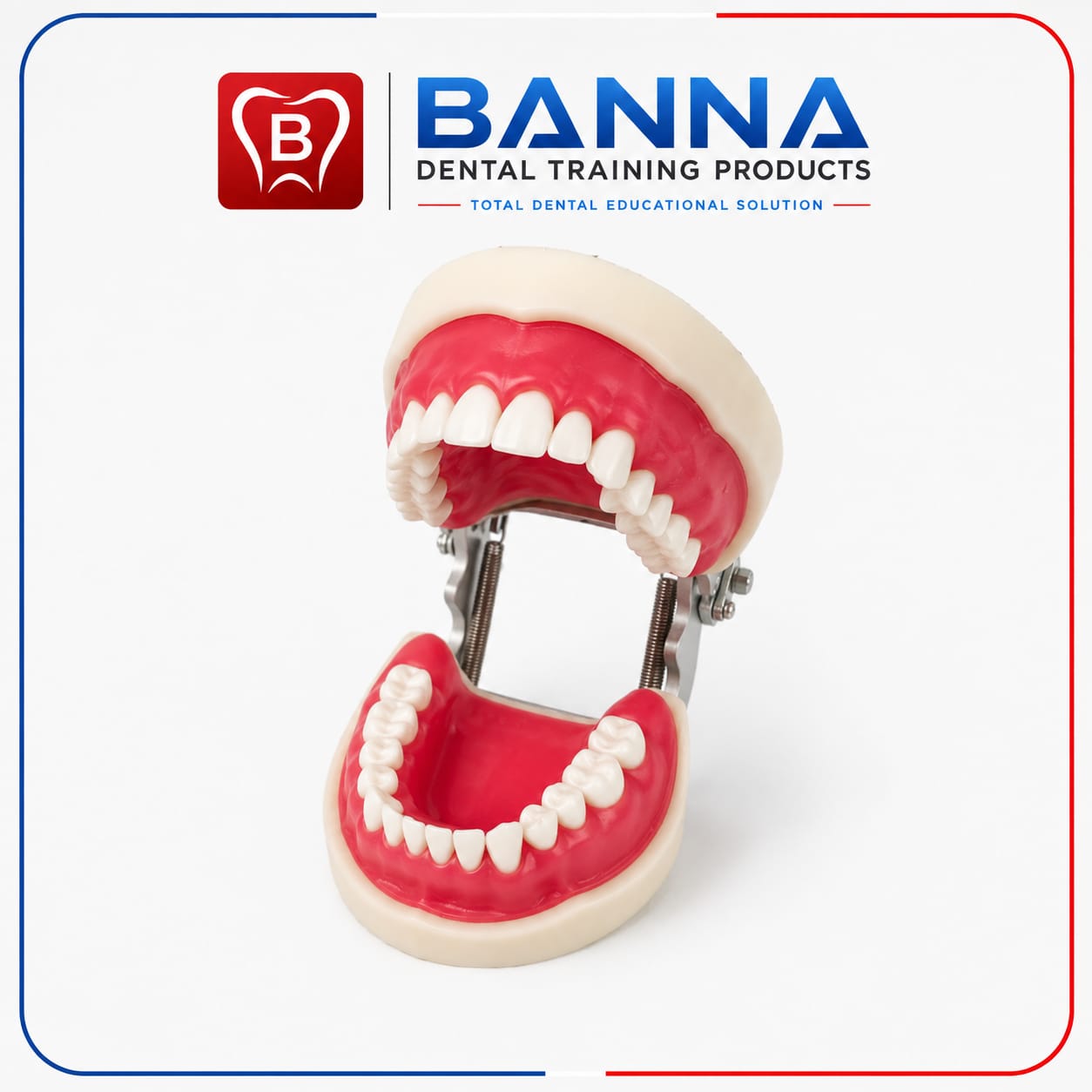 BANNA Soft Ginga Screw Type