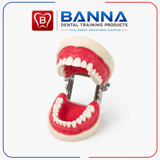 BANNA Soft Ginga Screw Type